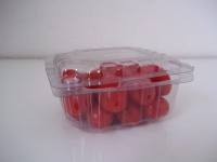 /album/embalagens-para-hortifruti/a100-0980-jpg/