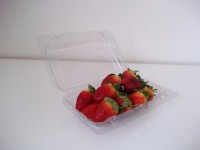/album/embalagens-para-hortifruti/a100-0987-jpg/